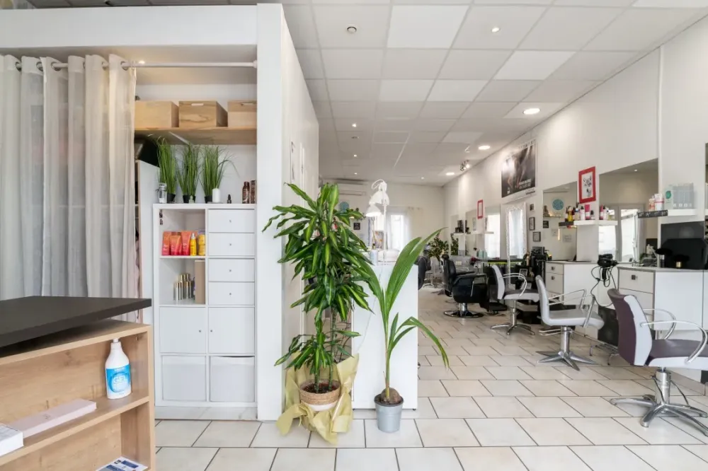 Salon plante
